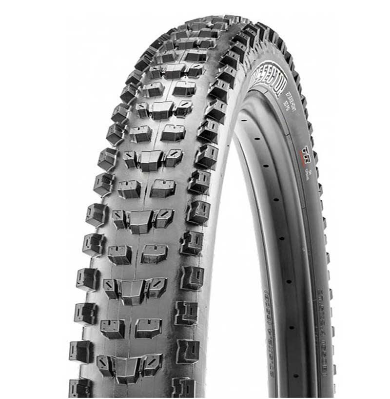 Maxxis trunting exo tubeless prêt 29x2.40