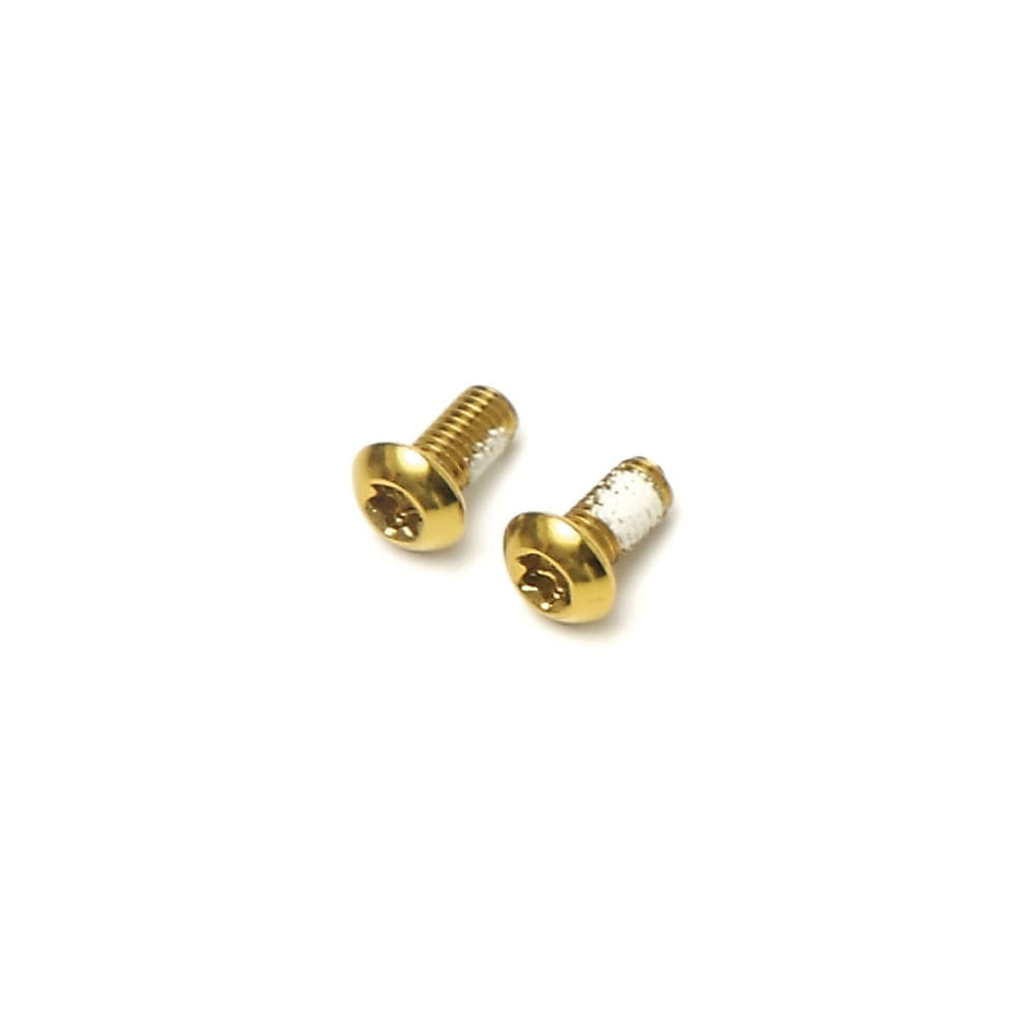 ARO-08 Brake Disc Screws (KIT) Gold Steel (12 Pieces)