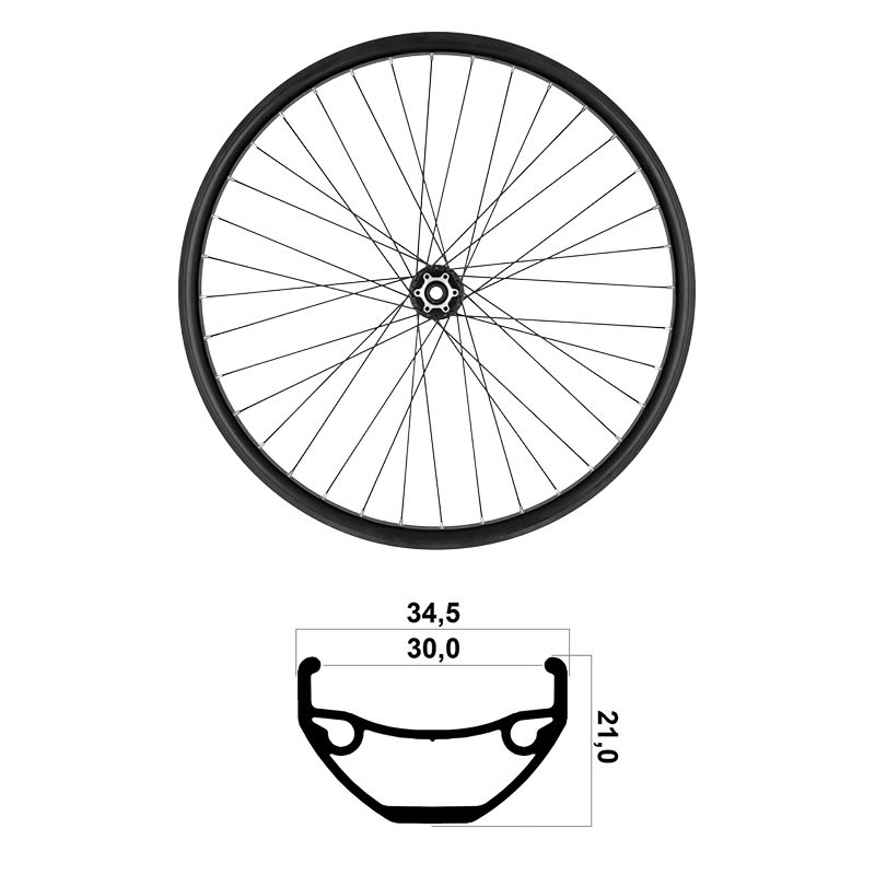 29" Front Wheel int width 30mm MTB TLR Bearings Thru Axle Disc