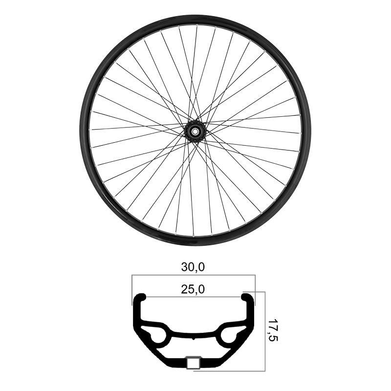 Rear Wheel 29" x 25mm MTB Tubeless Ready Shimano 10/11/12V Disc