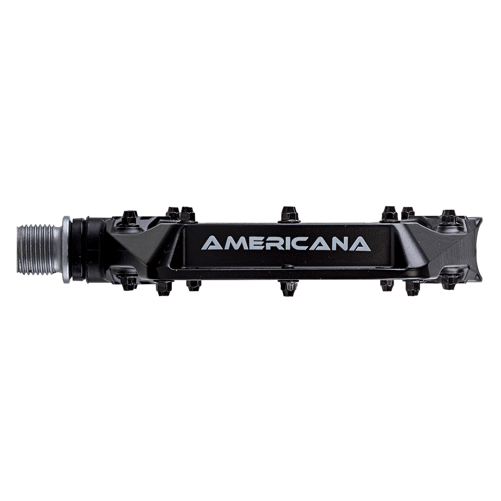 American Azonic pedals
