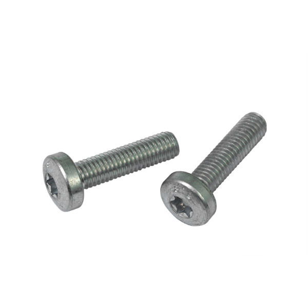 Bosch - Juego de tornillos para batería para cuadro con cabeza hexagonal hueca M5x20, 2 piezas