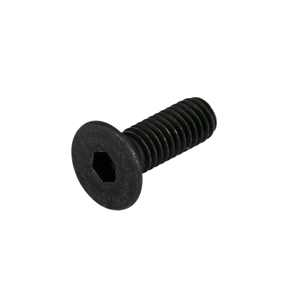Bosch - Tornillos de fijación protección de cable. Tornillo de cabeza cilíndrica Torx M4x10