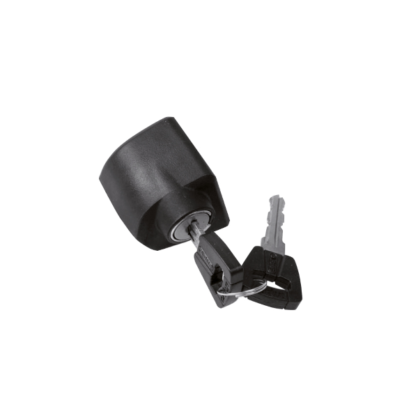 Bosch - Cilindro de cerradura estándar para batería en el cuadro, Classic+, negro Bosch Abus, contiene cilindro y llaves