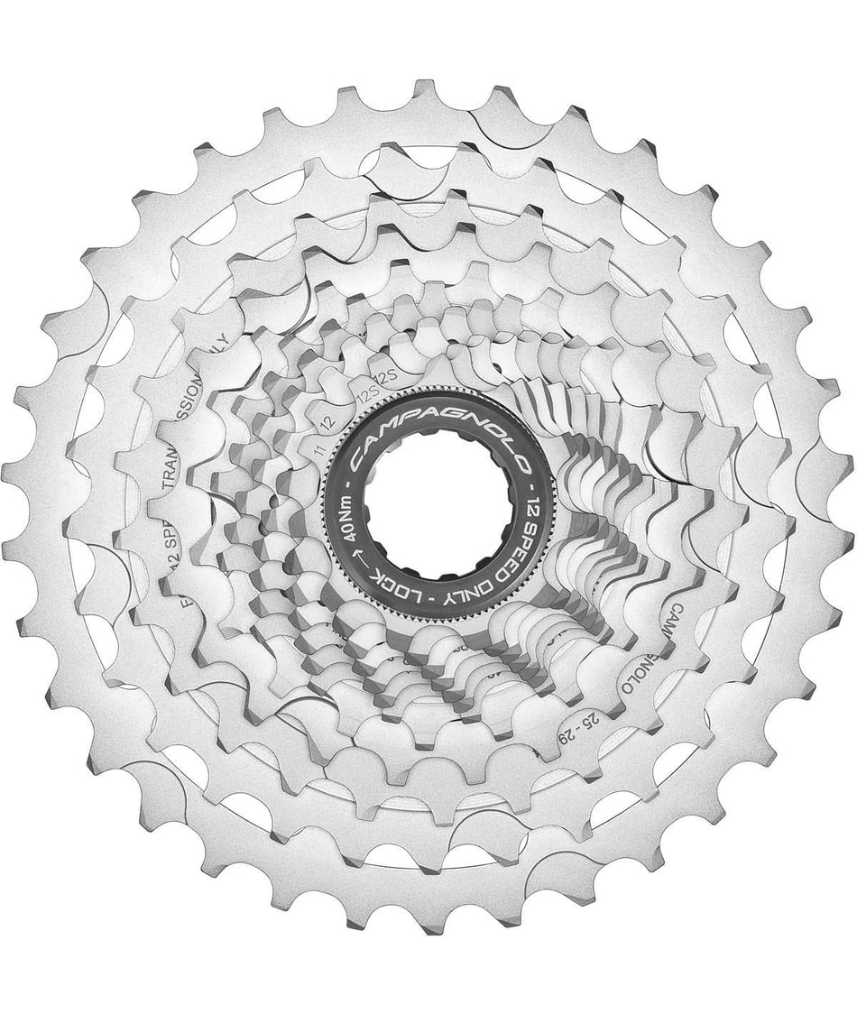 Campagnolo Chorus 12v cassettes.
