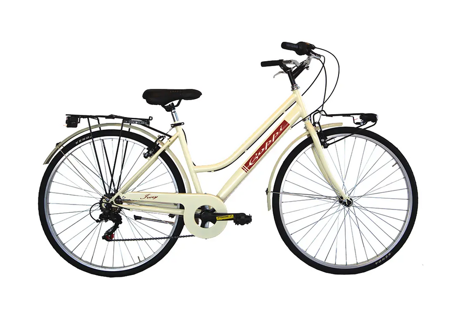 Vélo Trekking 28" Sorrento 6V