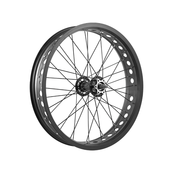 Easy - Rueda delantera FAT BIKE 20x4
