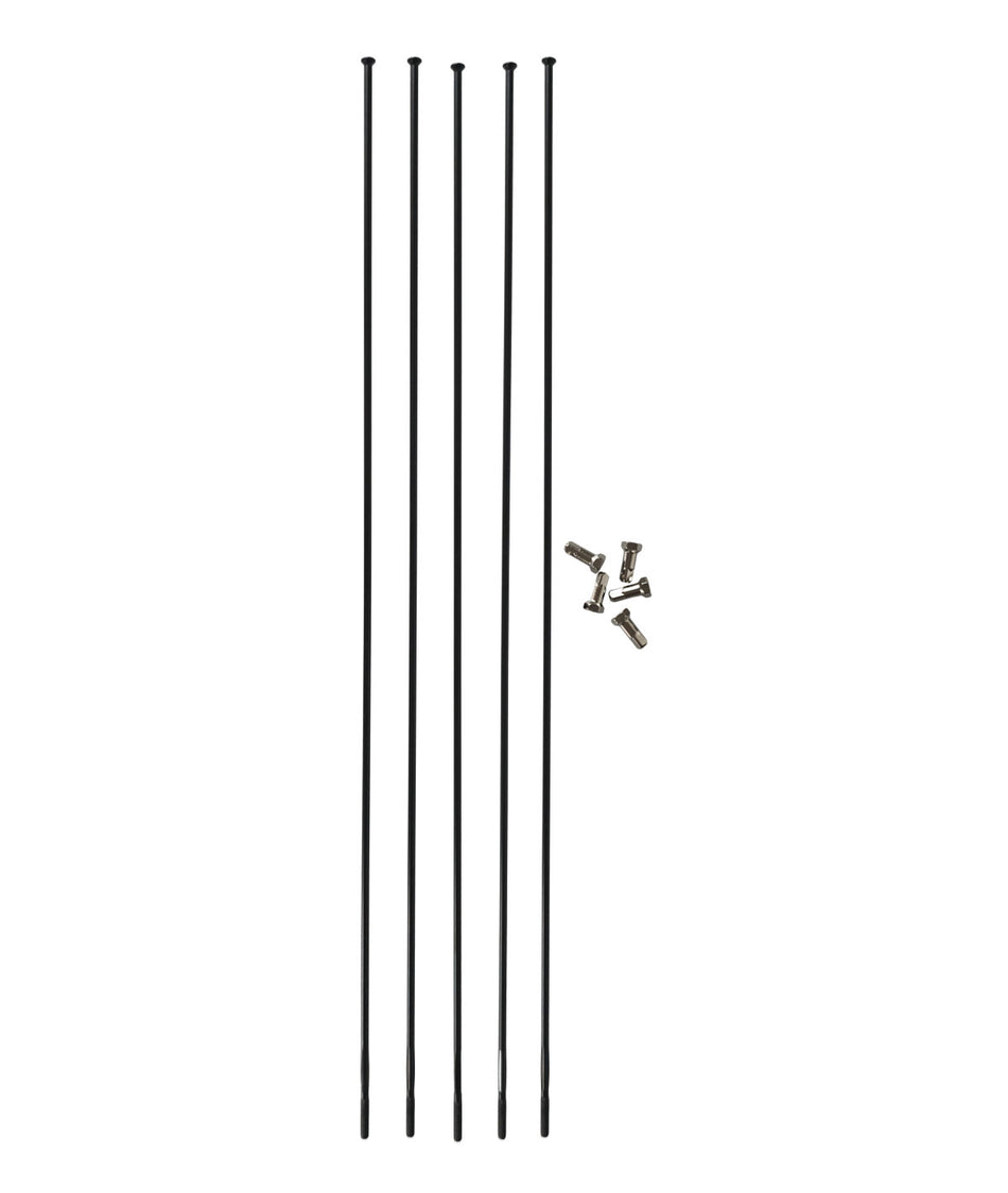 Raggio completo RLT ant. (1pz)