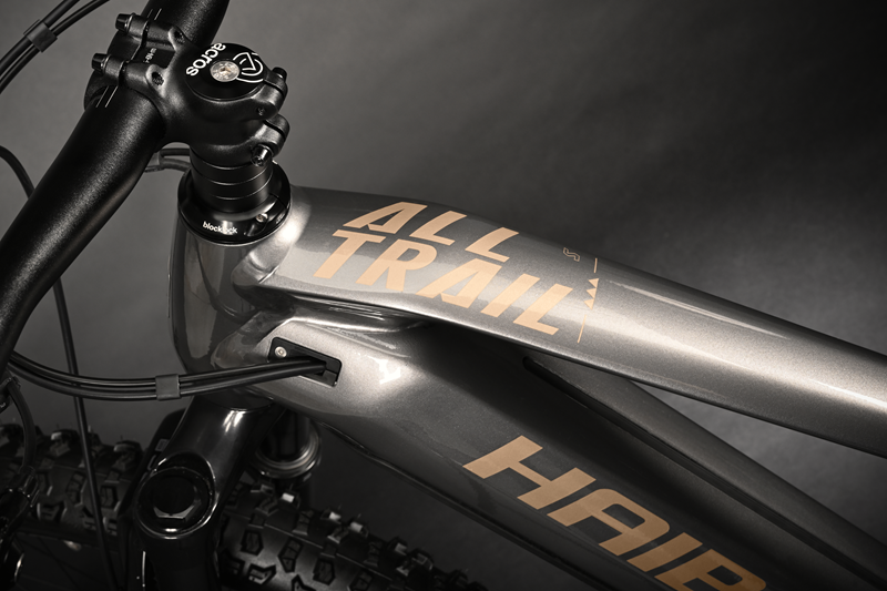 Haibike AllTrail 5 29" Titan/Caramel