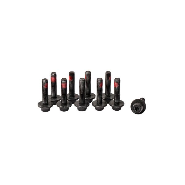 Magura - CENTRAL FIXING SCREWS FOR EASY MOUNT ADAPTERS M6, T25