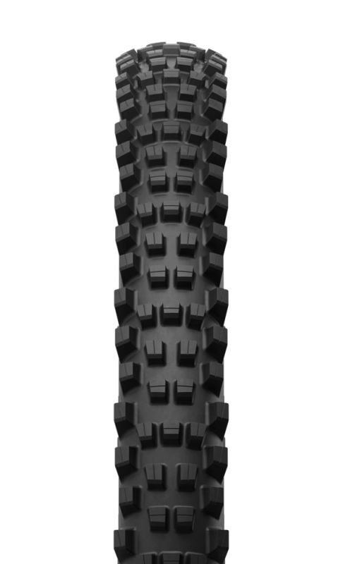 Michelin DH 22 tire