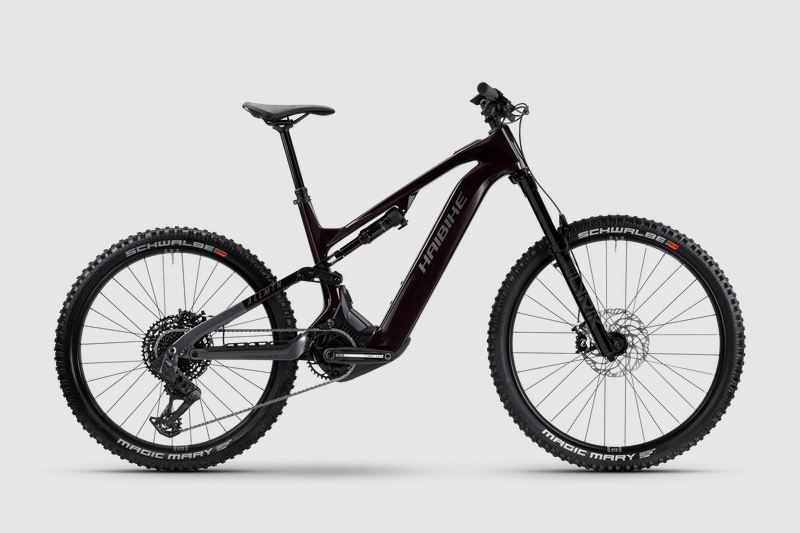 Haibike ALLMTN CF 9 2026