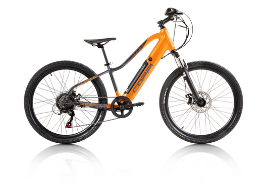 COPPI Goblin E-bike 24"
