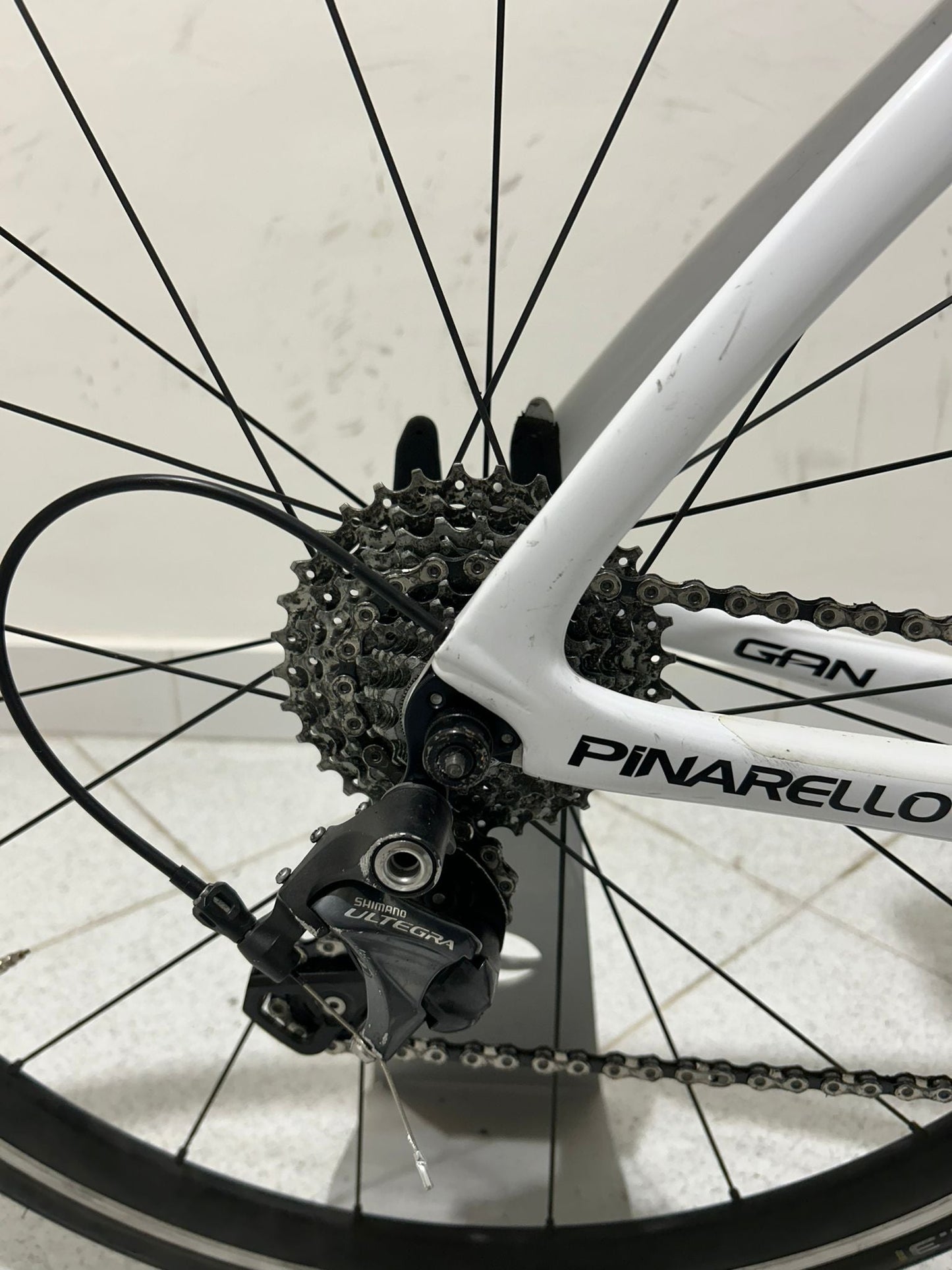 Pinarello Gan Tamaño 53 - Usado