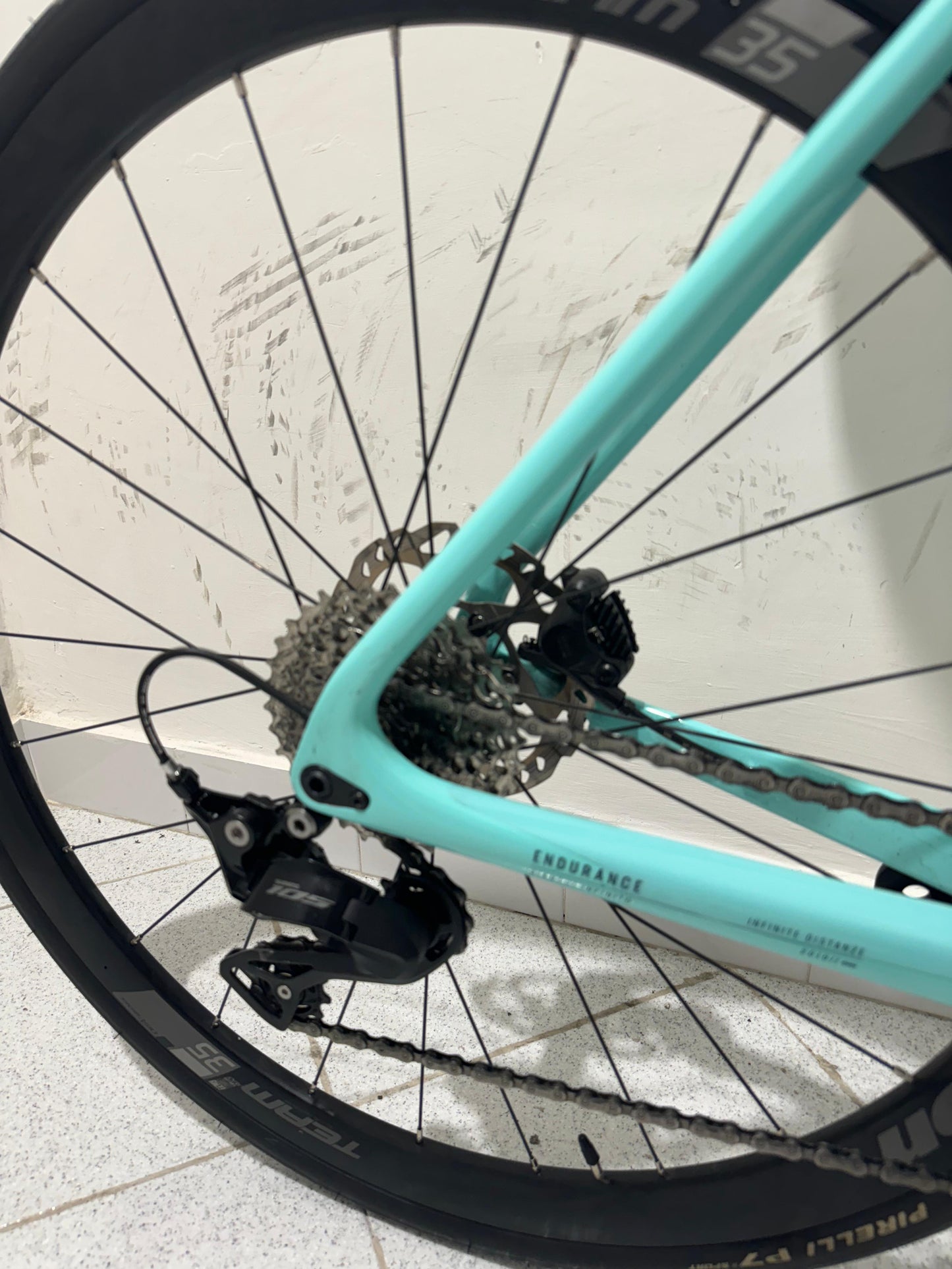 Bianchi Infinito Disc Größe 55 - verwendet