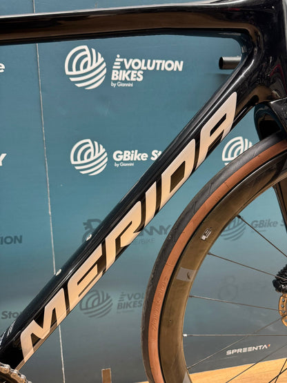 Escultura Mérida 6000 Tamaño S - Usado