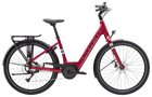 Trek Verve+ 1 Lowstep