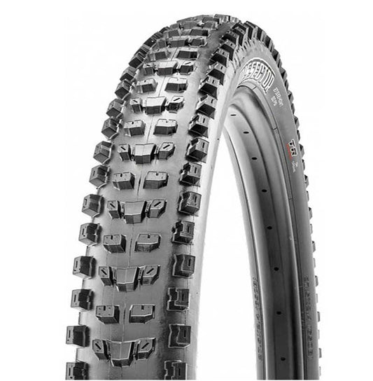 Maxxis Trunt EXO bezdušové pripravené 29x2.40wt