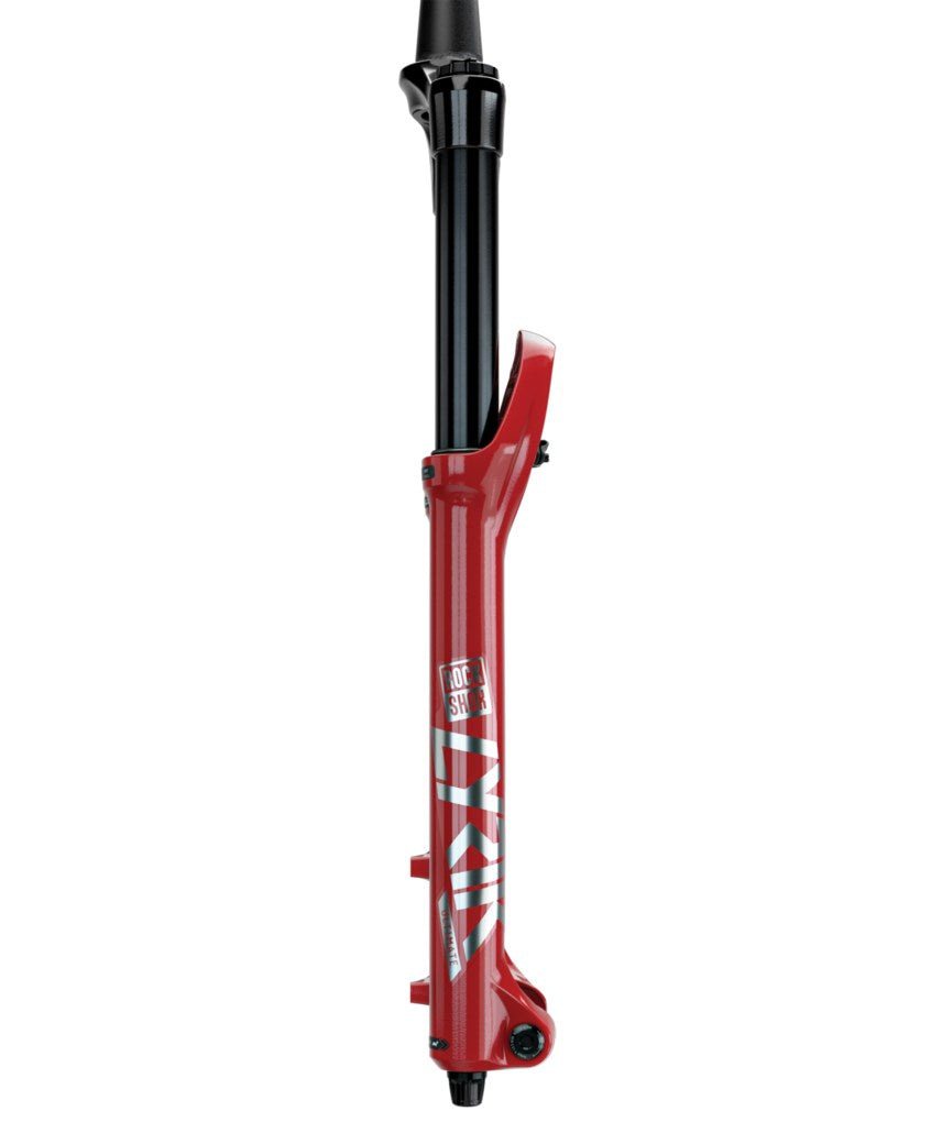 Rockshox am FS Lyrik Ultimate Fork 29