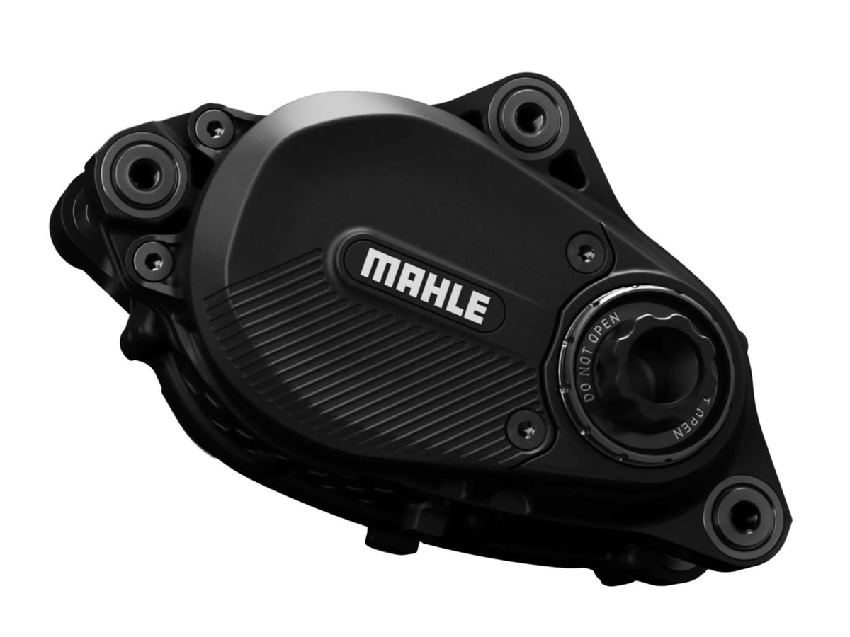 Motore Mahle M40