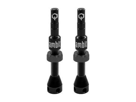 Valvola tubeless Ambit® Realm