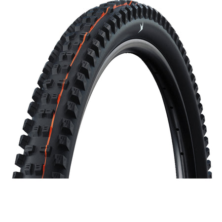 Copertone Schwalbe Tacky Chan TLR