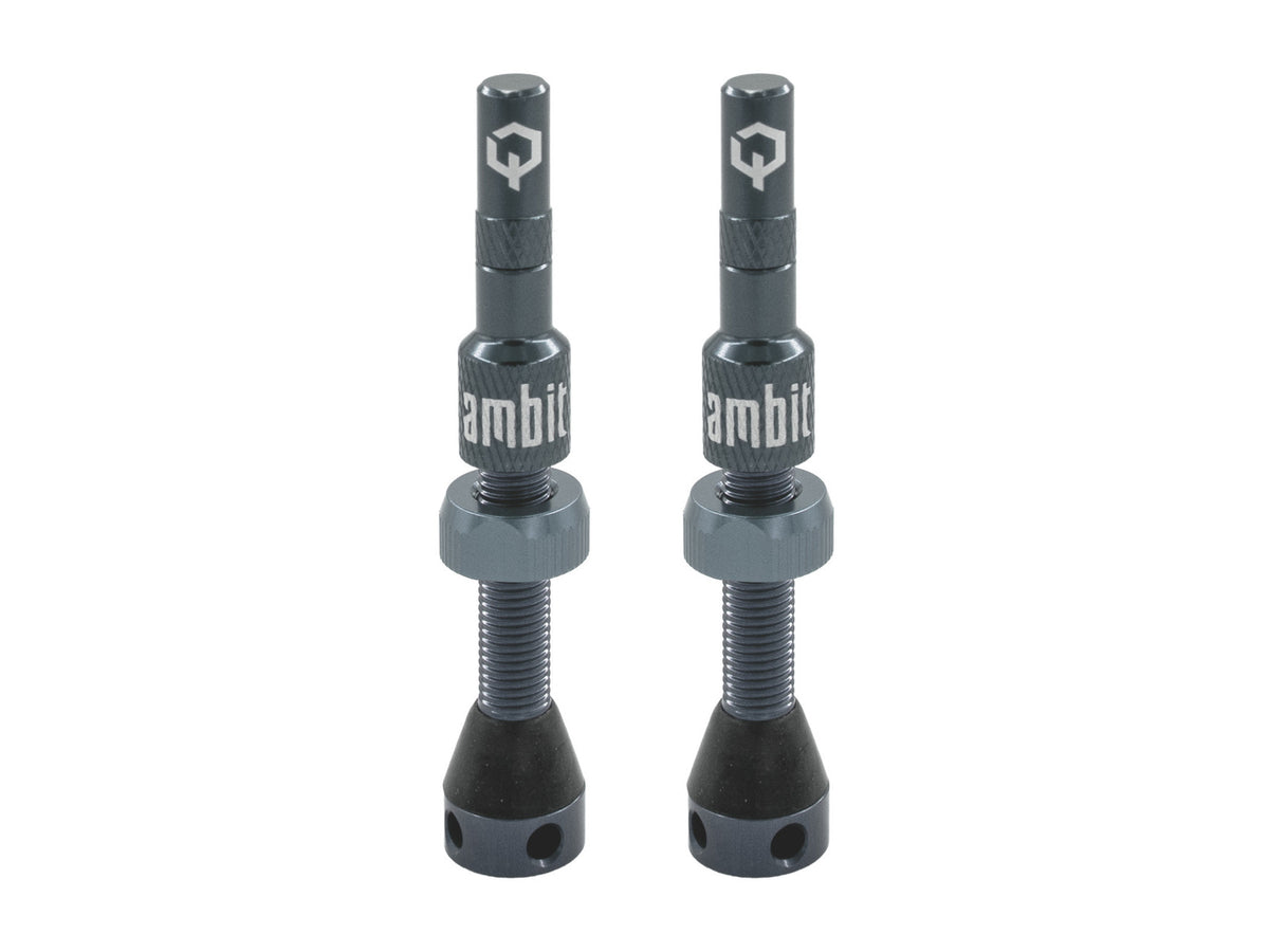 Valvola tubeless Ambit® Realm - foto 3