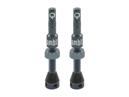 Valvola tubeless Ambit® Realm - foto 3