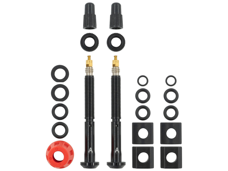 Valvola SRAM TyreWiz 2.0