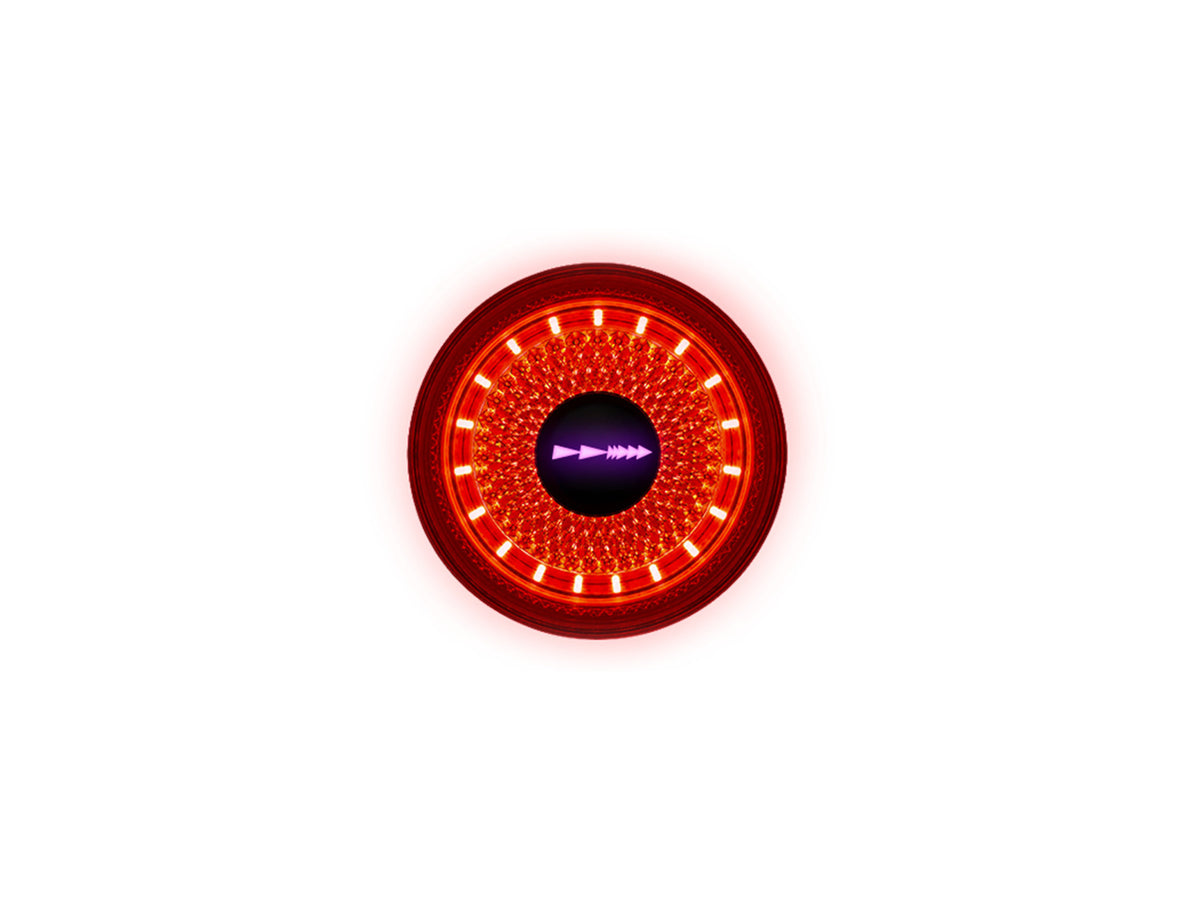 Luce posteriore Dynamic Red Lyte 100