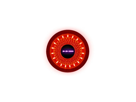 Luce posteriore Dynamic Red Lyte 100