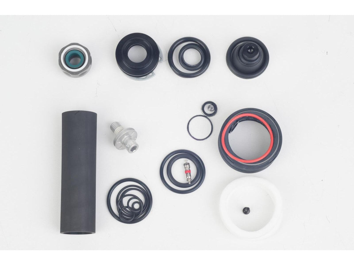 Kit revisione completa forcella RockShox Pike Dual Position