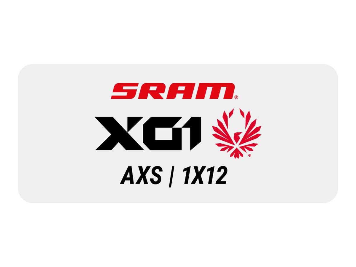 Gruppo SRAM X01 AXS
