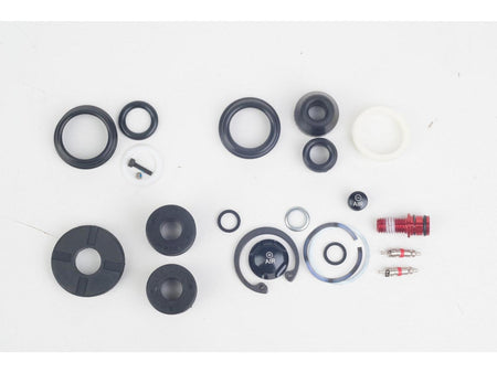 Kit revisione forcella RockShox Reba Dual Air/MoCo