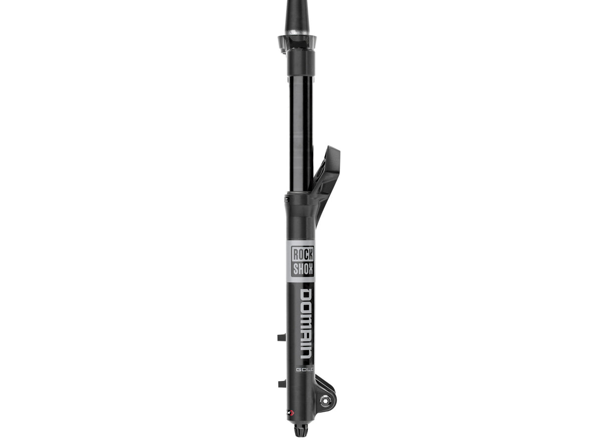 Forcella RockShox Domain Gold Isolator RC3
