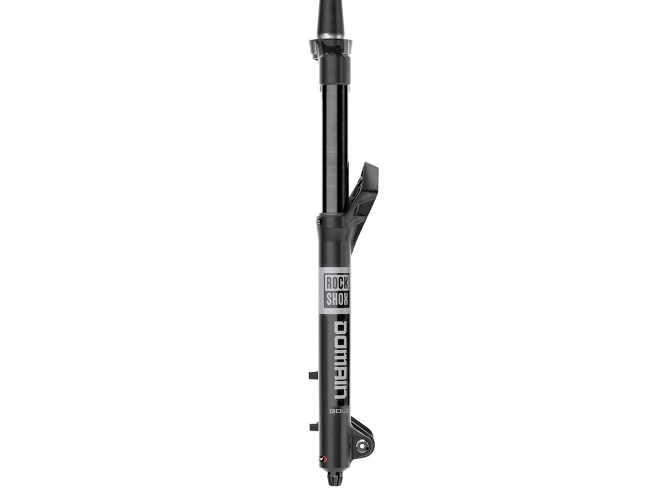 Forcella RockShox Domain Gold Isolator RC3