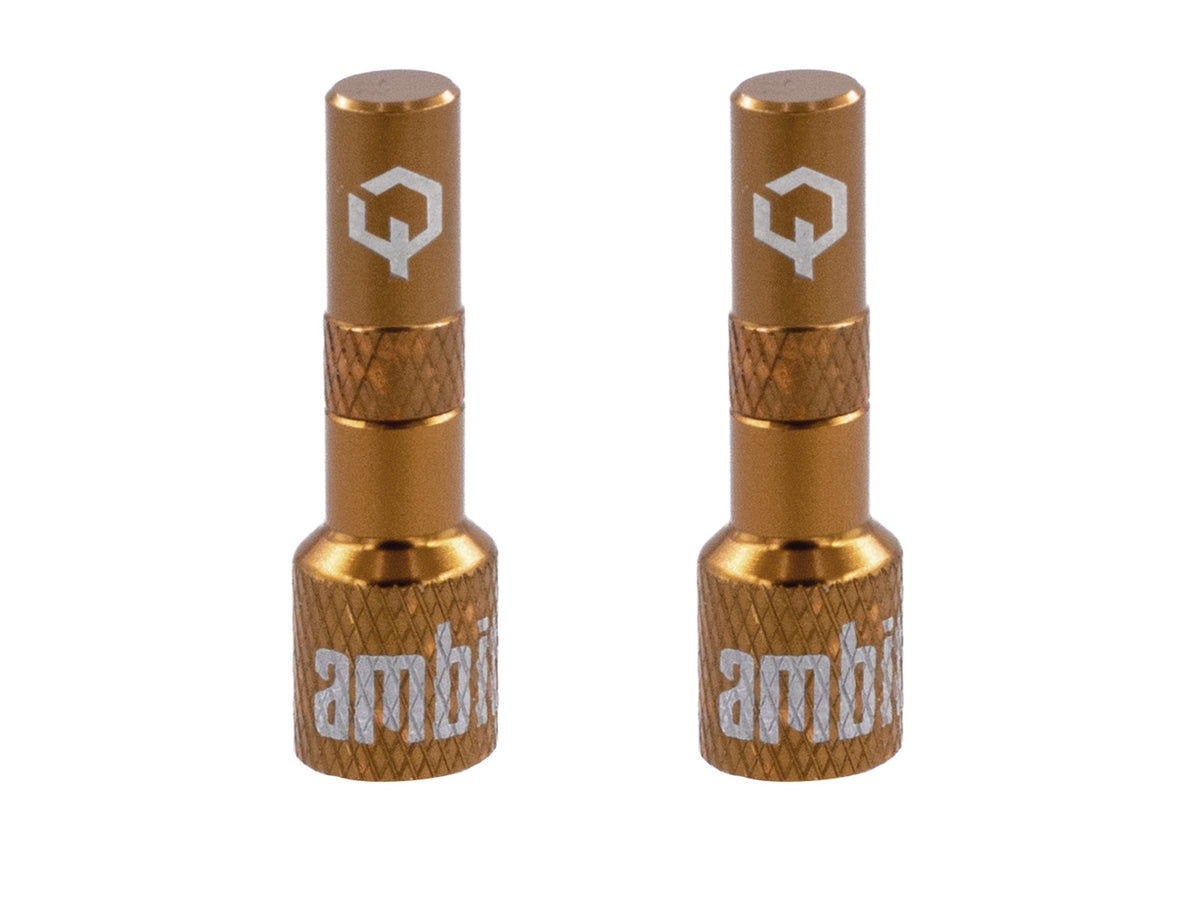 Adattatori valvola tubeless Ambit® Realm - foto 6