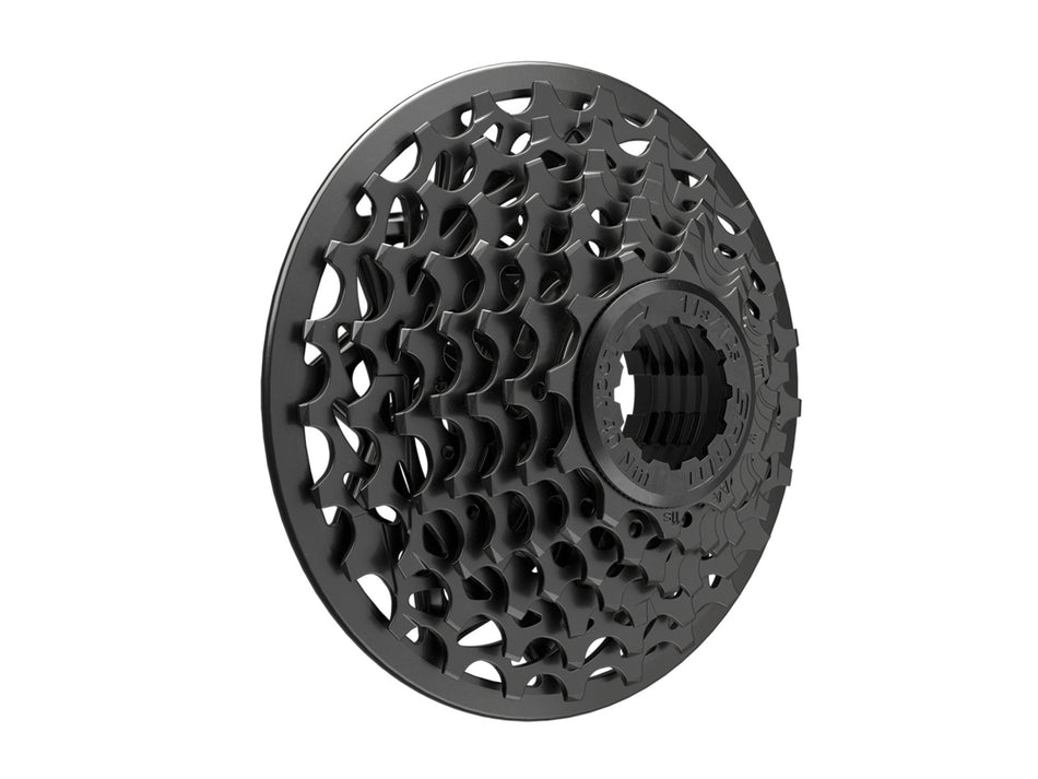 Pacco pignoni SRAM PG-720 DH Slim