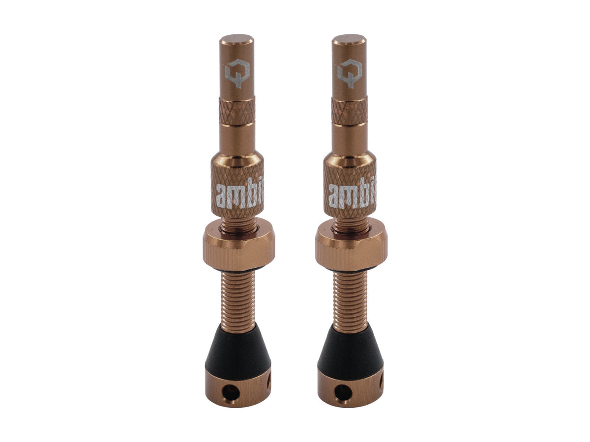 Valvola tubeless Ambit® Realm - foto 8