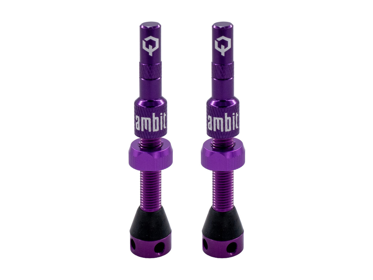 Valvola tubeless Ambit® Realm - foto 5