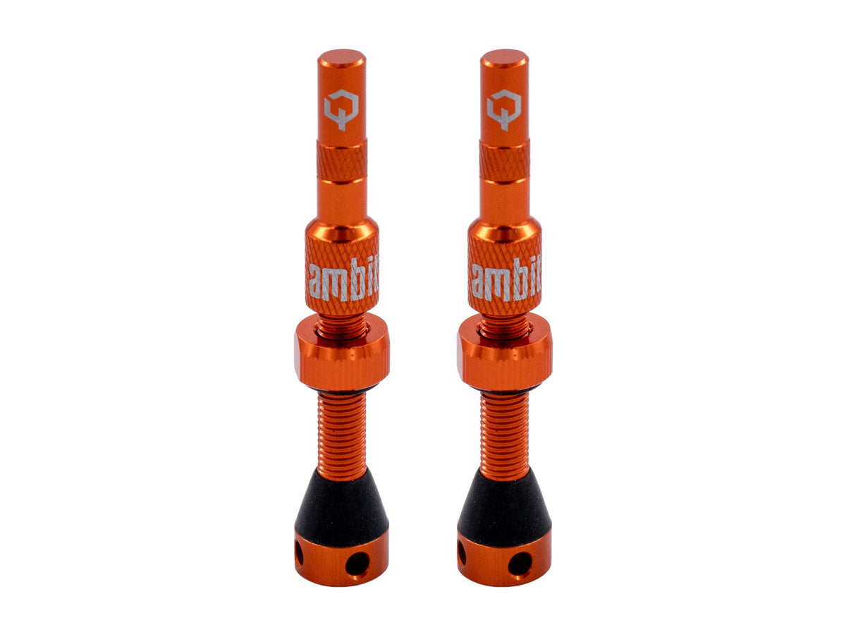 Valvola tubeless Ambit® Realm - foto 4