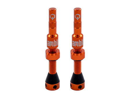 Valvola tubeless Ambit® Realm - foto 4