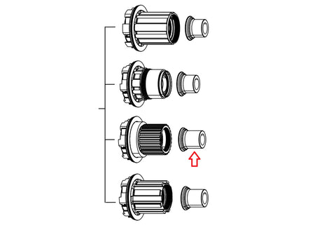 Tappi terminali Zipp ZM2SL ZR1 Microspline posteriore