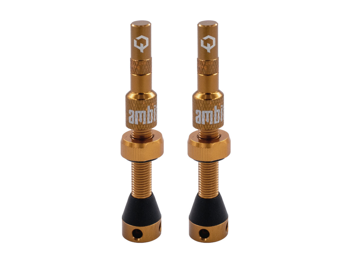Valvola tubeless Ambit® Realm - foto 6
