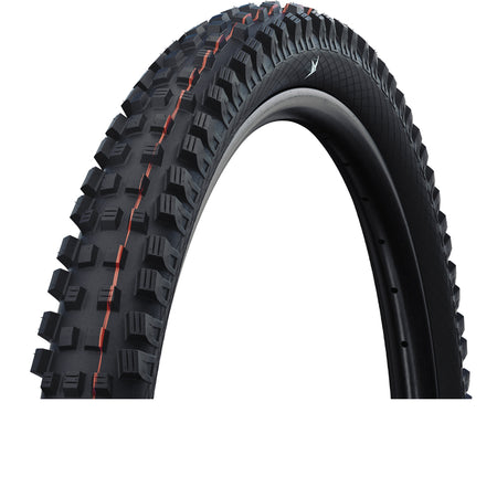 Copertone pieghevole Tubeless Ready Schwalbe Magic Mary