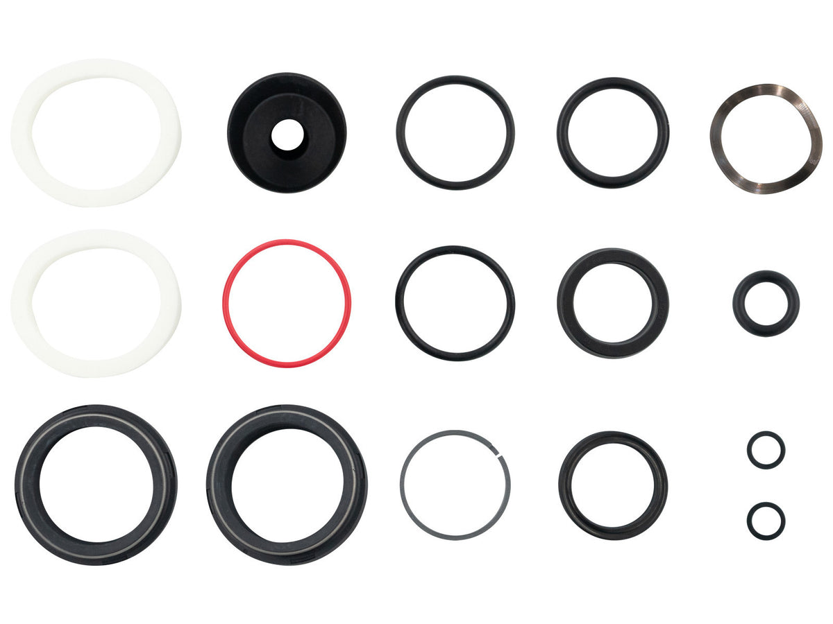 Kit revisione 200 ore/1 anno RockShox Revelation Motion Control