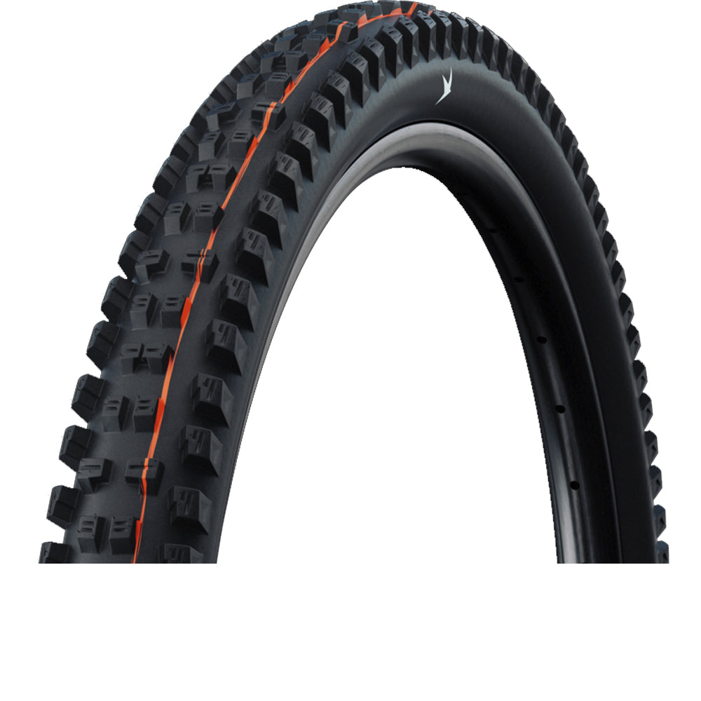Copertone Schwalbe Tacky Chan TLR