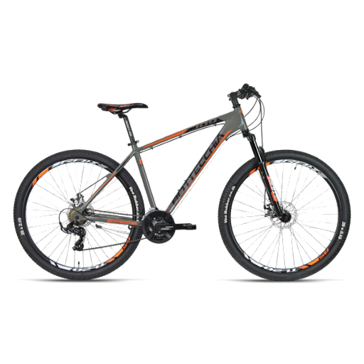 Bottecchia 109 TY500 Disková mechanik 21S 29