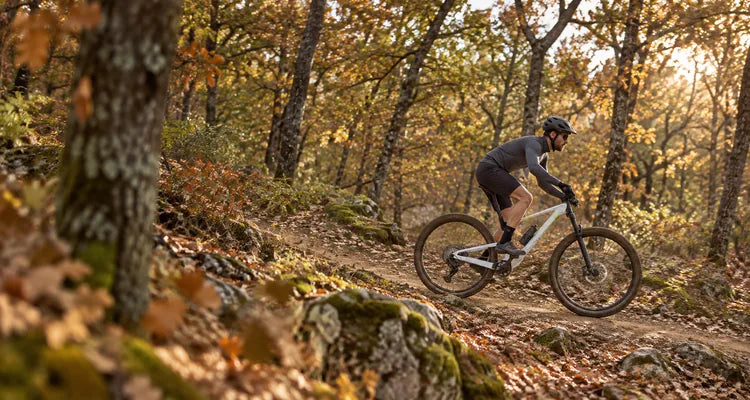 Ciclista su mountain bike biammortizzata lungo un sentiero nel bosco autunnale